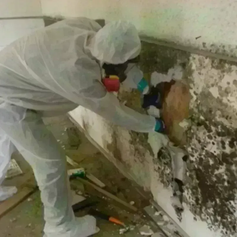 Mold Remediation and Removal in Hawthorne, NJ