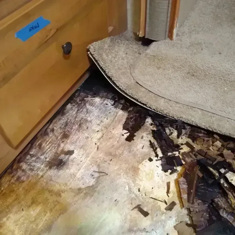 Wood Floor Water Damage in Hawthorne, NJ